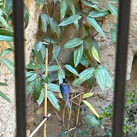 Le Patio Uzes